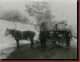 Verantwortlich f�r die Bilder: Thomas M�hr