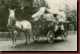 Verantwortlich f�r die Bilder: Thomas M�hr