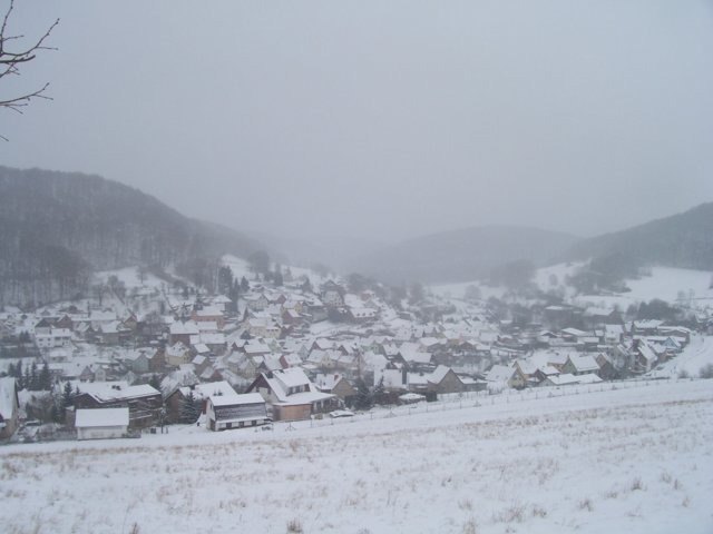 2007-01.jpg