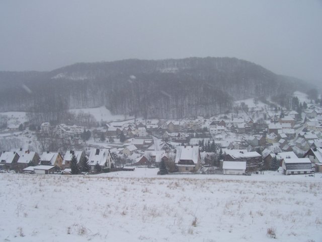 2007-02.jpg