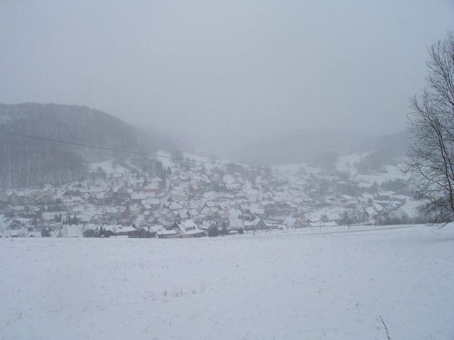 2007-06.jpg