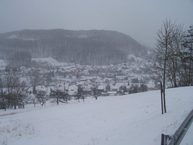 2007-08.jpg