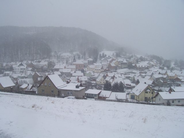 2007-11.jpg