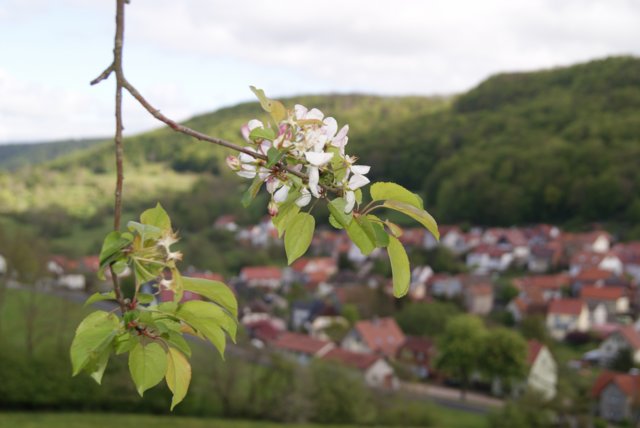 dsc06123.jpg