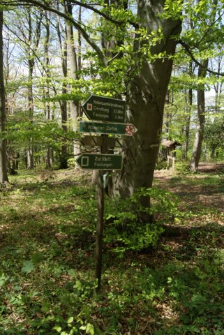dsc06180.jpg