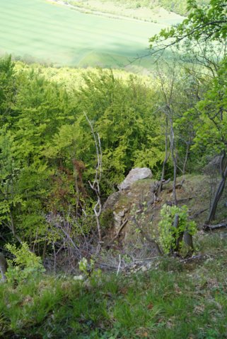 dsc06194.jpg