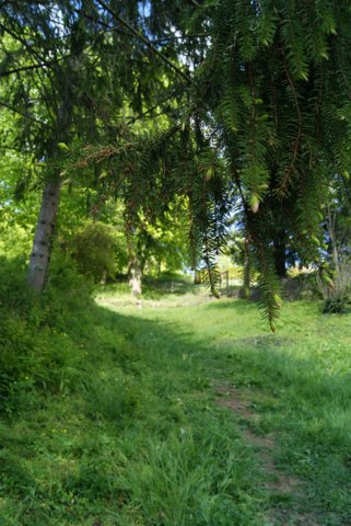 dsc06223.jpg