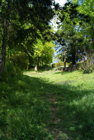 dsc06224.jpg