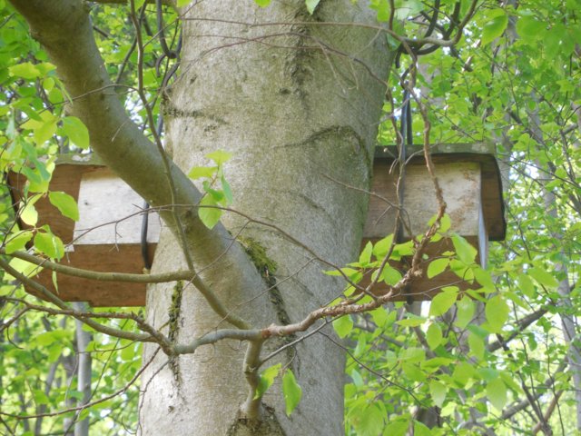 dscn1607.jpg