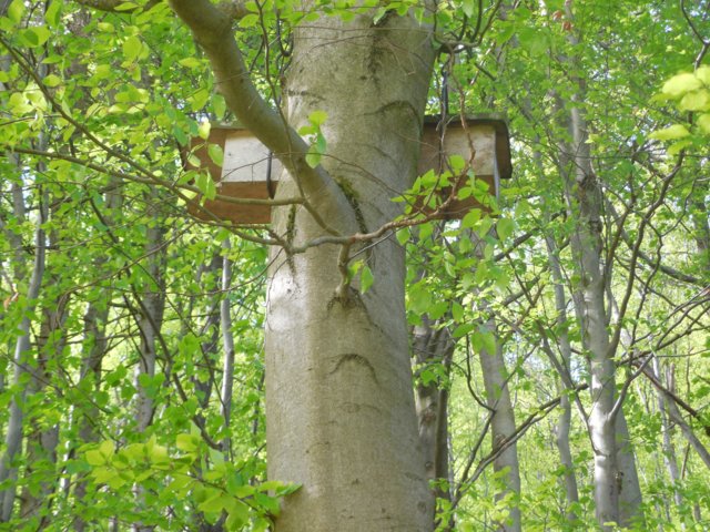 dscn1608.jpg