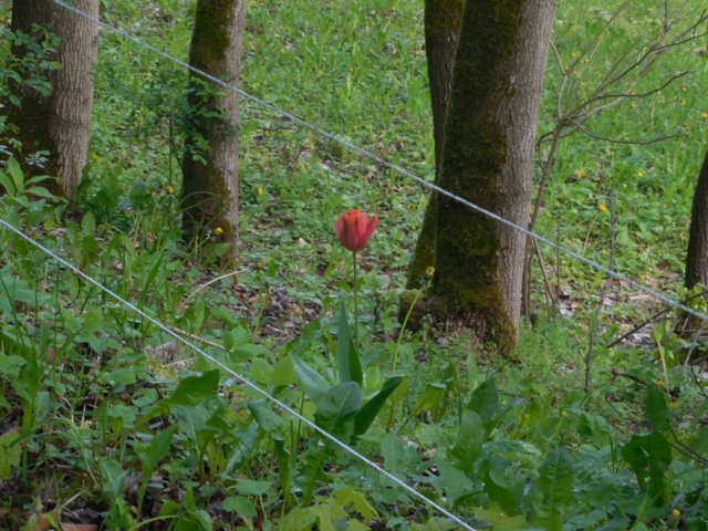 dscn1609.jpg