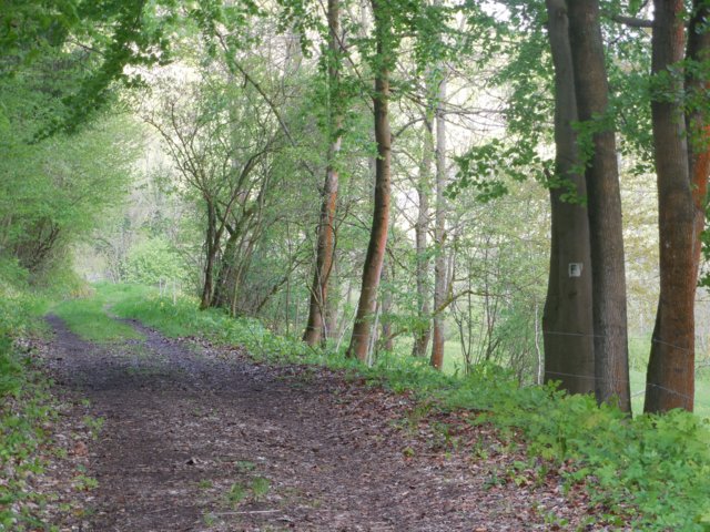 dscn1610.jpg