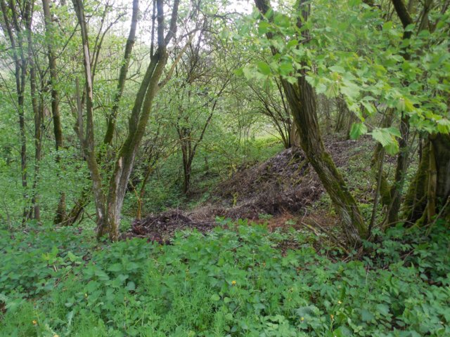 dscn1612.jpg
