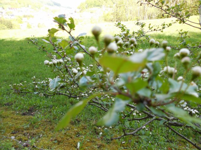 dscn1618.jpg