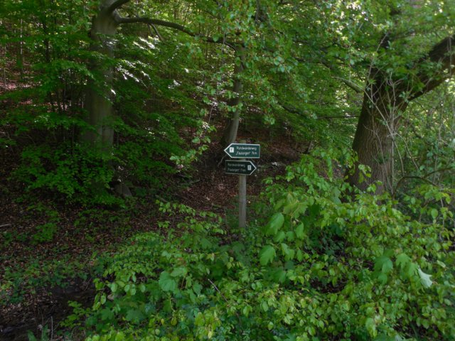 dscn1625.jpg