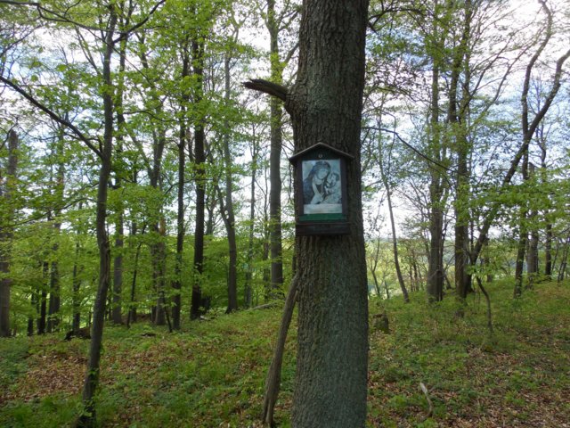 dscn1644.jpg