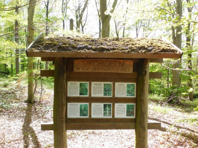 dscn1649.jpg