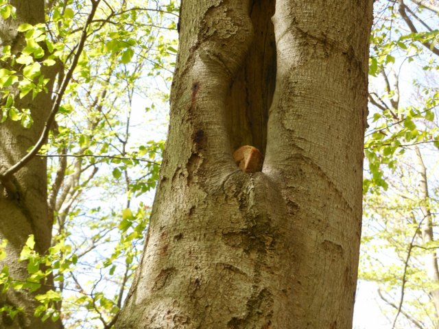 dscn1656.jpg