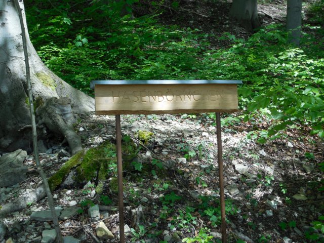 dscn1658.jpg