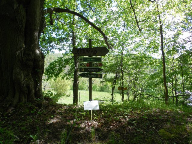 dscn1666.jpg