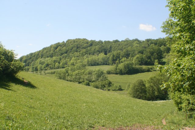 faulungen_05.jpg