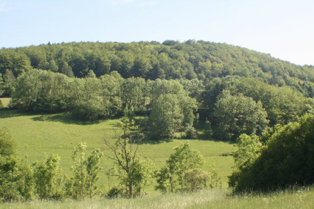 faulungen_06.jpg