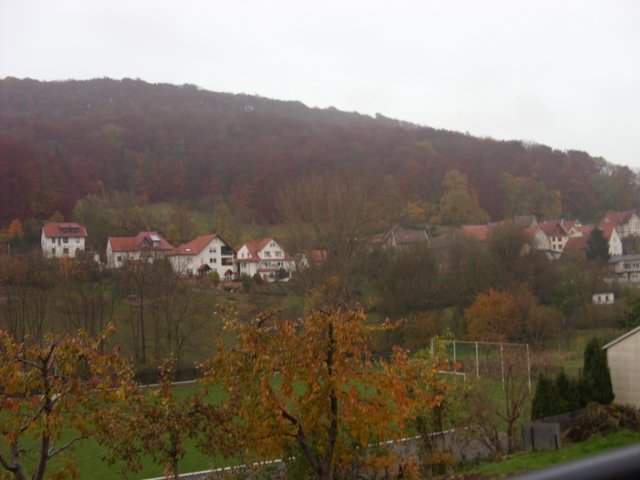 flg-01.jpg