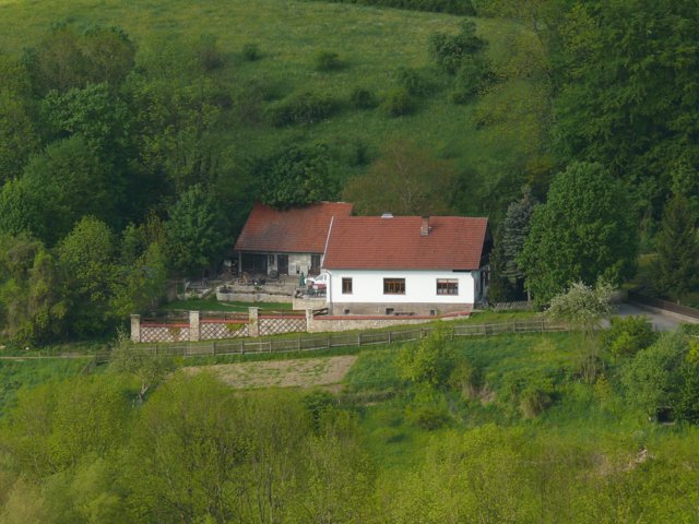 flg-13.jpg