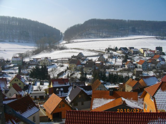 imgp0081.jpg