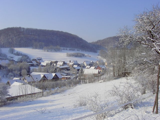 pic_0001.jpg