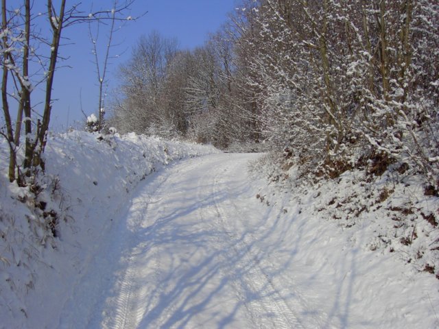 pic_0006.jpg