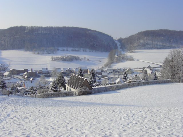 pic_0008.jpg