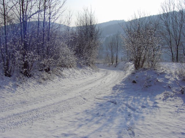 pic_0009.jpg