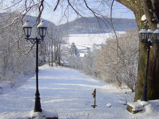 pic_0010.jpg