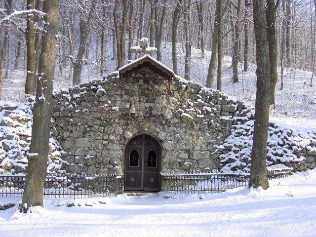 pic_0011.jpg