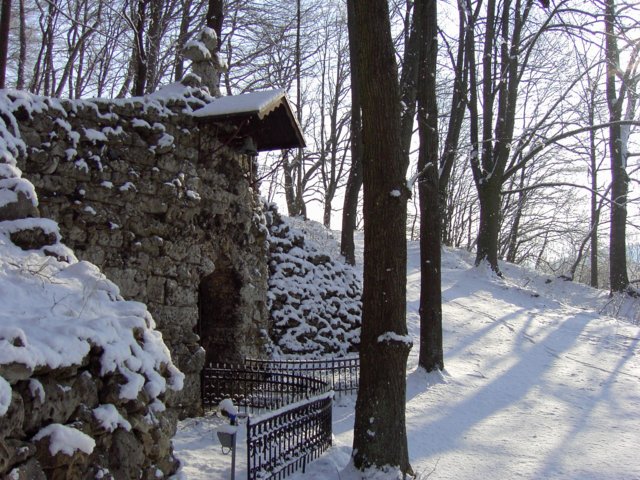 pic_0012.jpg