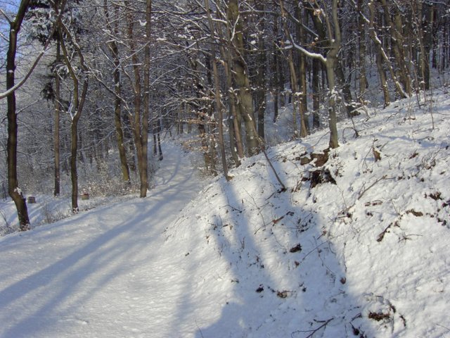 pic_0015.jpg