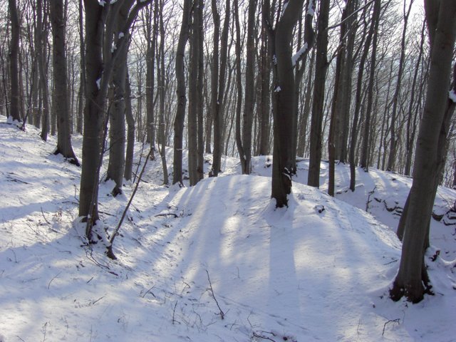 pic_0020.jpg