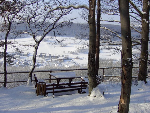 pic_0021.jpg