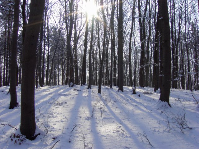 pic_0055.jpg