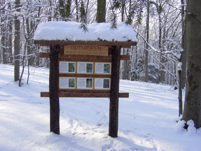 pic_0060.jpg