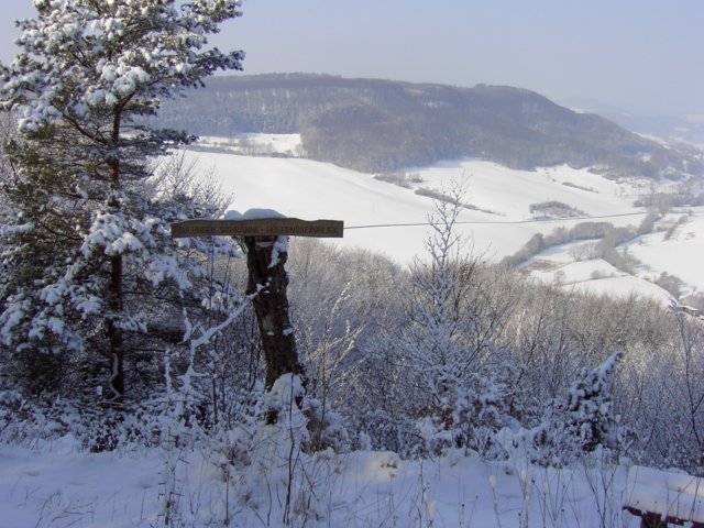 pic_0071.jpg