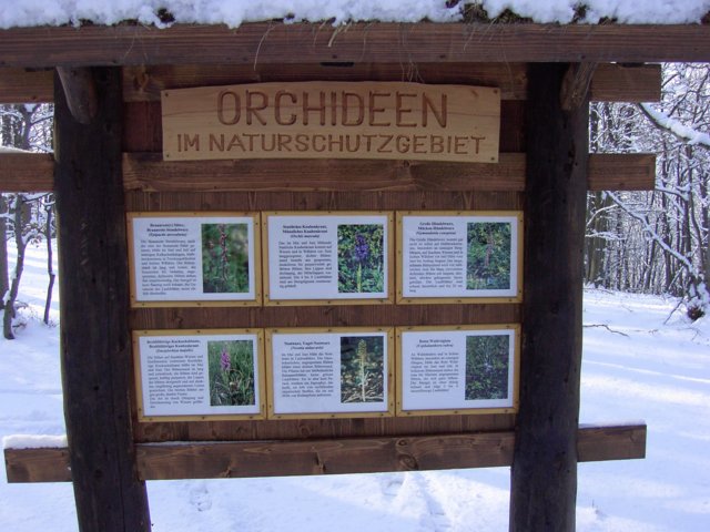 pic_0076.jpg