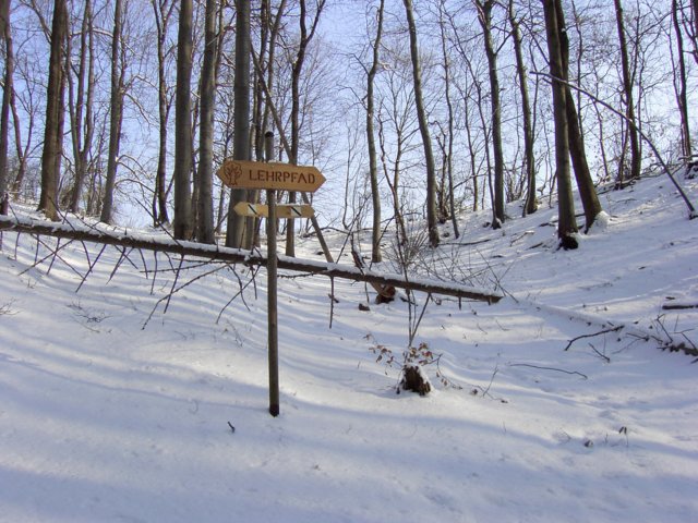pic_0087.jpg