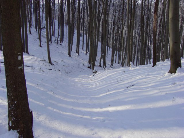 pic_0088.jpg