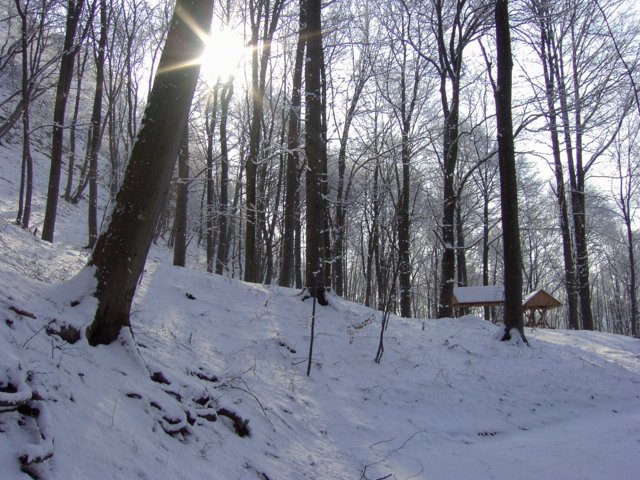 pic_0096.jpg