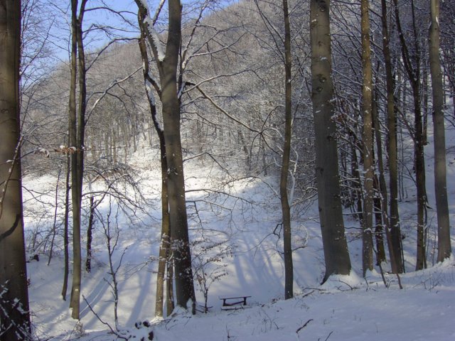 pic_0097.jpg