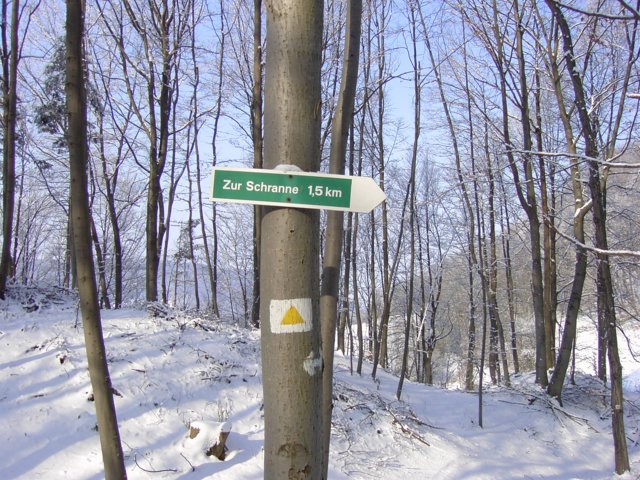 pic_0098.jpg