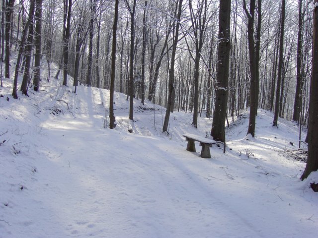 pic_0099.jpg