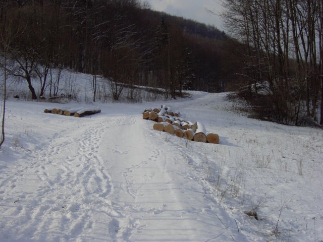 pic_0130.jpg
